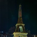 유성 국화축제 이미지