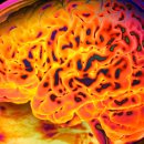 M&P Medical Agency 이미지