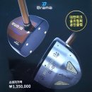 에버그린파크골프 이미지