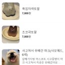 강릉 체험 여행 주문진 오션뷰 카페거리 데이트 추천 카페투어