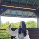 곡성-232 | 엄마아빠 따라 삼만(...) 리 | 곡성 세계장미축제 남원 광한루원