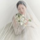 네모필라플라워샵