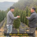 그린농장 이미지