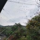 하얀집펜션 | 양주 하얀집펜션-서울 근교 야유회하기 좋은 펜션 내돈내산 후기