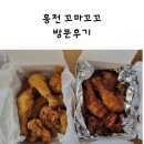 꼬마꼬꼬 | 홍천 꼬마꼬꼬 방문 후기