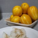성주컴퓨터 | 아이들 건강간식으로 좋은 고당도 성주참외! 달달하고 맛있어~