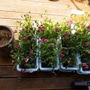 뮤토퍼스널트레이닝 이미지