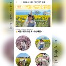 아이와 가볼만한곳 아이랑 여행코스 예스키즈존 추천 앱 애기야가자 ft.만우절이벤트