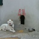 궁금 이미지
