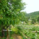 장원농장 이미지