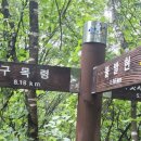 제 986차 7월 4일 강원 홍천 청량봉(1,052m) 미약골 계곡 이미지