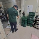 그린라인 이미지