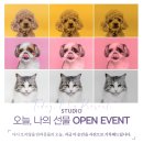 꽃;부춘여사 이미지