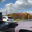 이모네 칼국수 | [수원] 이모네손칼국수 혼밥가능 혼밥추천 내돈내산 웨이팅 후기