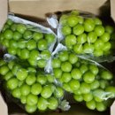 경산농장 이미지