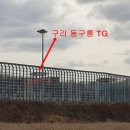 동구릉TG-구리