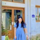 Stay Dole 이미지