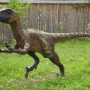 데이노니쿠스 이미지