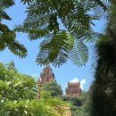 미현목장 이미지