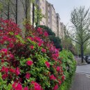 개포4-106 이미지