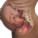진건산소 | ~(￣▽￣)~* 임신 기록 [30주 차](임신증상+3차 정밀초음파 후기+백일해접종)