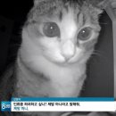 포켓팡 당구클럽 | 위시 베이커리 팝업 사전예약 후기