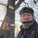 구산풍력 | 금장지맥 제1구간 구주령에서 분기점 찍고 울진풍력발전소까지 산행후기