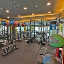 미니휘트니스3 이미지