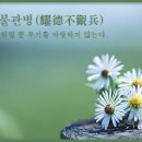 요덕불관병(耀德不觀兵) 이미지