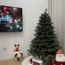 별달보라 이미지