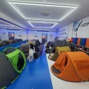 대성태권도 자이점 이미지