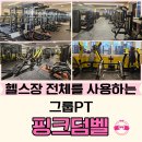 핑크덤벨 네이버블로그