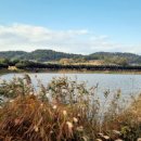 수변공원(1-4) 이미지