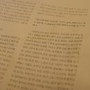 김용희참치