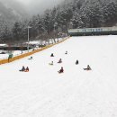 가평썰매장 이미지