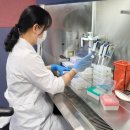 양돈산업 이미지