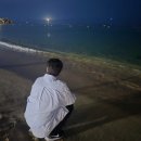 정선역 | 2026년 설날 연휴 국내여행 어디갈까? 겨울 감성 여행지 TOP4