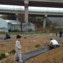 보평농장 이미지