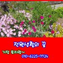 21C공인중개사사무소 네이버블로그