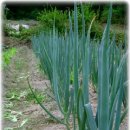 이천농장 이미지