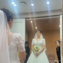 샵플레너