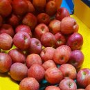 일미농원 이미지