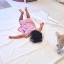 청호세탁 이미지