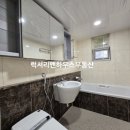 대우화이트 이미지