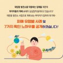 미르 태양광발전소 이미지