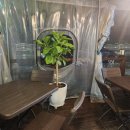 양산 남부점 이미지