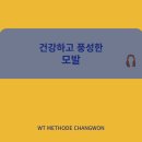 더블유티(WT)-메소드