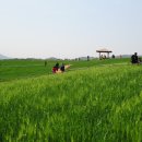 한빛관광(주) 이미지