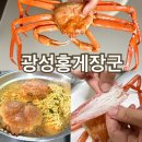 광성홍게장군 이미지