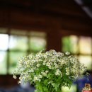 결혼정보아름다운동행 이미지